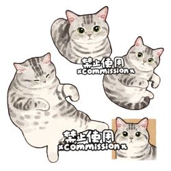  animal animal_focus artist_name cat closed_eyes commission dragon_li_cat full_body green_eyes mihuashi_commission multiple_views no_humans original simple_background sitting square watermark whiskers white_background xiao_bo_kuai_kuai 