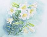  english_text flower highres no_humans nori02222 original painting_(medium) plant realistic still_life traditional_media watercolor_(medium) white_background white_flower 