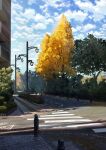  absurdres autumn_leaves blue_sky building city clouds day highres lamppost no_humans original outdoors road scenery shade sky street sumassha_t_t tree 