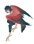  1boy animal_feet artist_name bird_legs bird_tail bird_wings black_hair claws closed_mouth collared_shirt colored_tips feathered_wings full_body green_eyes harpy_boy head_wings highres looking_at_viewer male_focus monster_boy multicolored_hair original red_shirt red_wings redhead shirt short_hair shuini_xiaomao simple_background solo tail white_background wings 