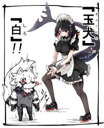  1boy 1girl absurdres animal_ears black_dress black_hair black_pantyhose body_fur breasts caseee999 closed_mouth colored_inner_hair dress ellen_joe fins fish_tail furry furry_male grey_vest hairband highres large_breasts maid_headdress metal_hairband motion_lines multicolored_hair muzzle_(mask) pantyhose prosthesis prosthetic_leg razor_blade_hair_ornament red_eyes scar scar_on_tail shark_girl shark_tail short_hair simple_background spiked_headband standing tail tail_belt tongue tongue_out translation_request vest von_lycaon white_background white_fur wolf_boy wolf_ears wolf_tail zenless_zone_zero 
