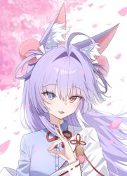  1girl :3 ahoge animal_ear_fluff animal_ears blue_eyes blue_shirt bow bowtie bright_pupils cherry_blossoms collared_shirt commentary_request d_anch0 eyes_visible_through_hair falling_petals fang fox_girl fox_shadow_puppet hair_intakes hair_ornament hair_over_one_eye hair_rings hand_up heterochromia highres korean_commentary kosode long_bangs looking_at_viewer open_mouth orange_eyes petals pom_pom_(clothes) pom_pom_hair_ornament red_bow red_bowtie shirt simple_background smile solo stellive tenko_shibuki upper_body virtual_youtuber white_background wing_collar wispy_bangs 