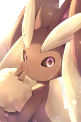  1other :3 brown_pupils brown_sclera closed_mouth colored_sclera commentary_request from_side furry hand_up highres looking_at_viewer lopunny pink_eyes pokemon pokemon_(creature) pokemon_focus rumine_(yoshi1234567) smile solo white_background 