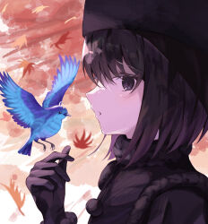  1girl bird black_capelet black_dress black_eyes black_gloves black_hair black_hat blue_bird capelet chinese_commentary commentary_request dress fur-trimmed_capelet fur_hat fur_trim gloves hat highres kuonji_alice kuronagasu_ir looking_at_viewer looking_to_the_side lost_robin_rondo mahou_tsukai_no_yoru short_hair solo 