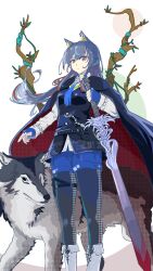  1girl animal animal_ear_piercing animal_ears arknights black_cape black_hair black_pantyhose black_vest blue_gloves blue_hair blue_shorts bolo_tie boots branch cape closed_mouth commentary feet_out_of_frame fingerless_gloves floating_hair gloves highres holding holding_sword holding_weapon knee_boots long_hair long_sleeves looking_at_viewer millzyuron multicolored_hair pantyhose plant red_cape red_eyes red_hair shorts solo standing streaked_hair sword texas_(arknights) texas_the_omertosa_(arknights) thigh_strap two-sided_cape two-sided_fabric unmoving_pattern vest vines weapon white_background white_boots wolf wolf_ears wolf_girl 