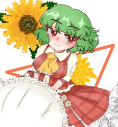  ascot collared_shirt flower green_hair highres kazami_yuuka looking_at_viewer mu513989 parasol red_eyes red_skirt shirt short_sleeves skirt sunflower touhou umbrella yellow_ascot 