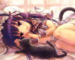  animal_ears cat catgirl goto_p hazuki tsukuyomi_moon_phase 