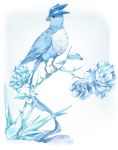  bird flower frozen grey_beak ice nintendo no_humans pokemon red_eyes rinne_(pixiv) 