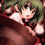  bucket girl_in_bucket green_eyes green_hair in_bucket in_container kisume short_hair solo surprise surprised touhou twintails 