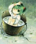  bad_id bucket green_eyes green_hair hair_bobbles hair_ornament ichitaro in_bucket in_container kisume leaf rain solo touhou twintails 