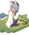  1girl absurdres animal_ear_fluff animal_ears apron blue_apron blush commentary_request folding_clothes full_body greenpiecerice grey_hair grey_skirt grey_vest hair_between_eyes highres layered_clothes long_sleeves looking_at_viewer medium_bangs mouse_ears mouse_girl mouse_tail nazrin open_mouth red_eyes seiza shirt short_hair sitting skirt skirt_set smile solo tail tatami touhou vest white_shirt 