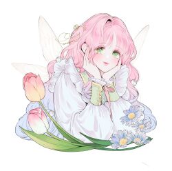  1girl absurdres b_etty01tm blue_flower blue_hair fairy_wings flower frills gradient_hair green_eyes hana_himeru_kimi_no_meteor hashtag-only_commentary highres leaf looking_at_viewer multicolored_hair official_art pink_hair pink_lips plant simple_background stella_quinwich tulip two-tone_hair white_background wings 
