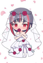  1girl :< absurdres alternate_costume bare_shoulders black_hair blush bridal_veil chibi chibi_only closed_mouth commentary_request dress dress_flower falling_petals flower frown full_body furrowed_brow garter_straps hands_up heaven_burns_red high_heels highres holding holding_flower long_dress looking_at_viewer medium_hair mikoto_fubuki multicolored_hair off-shoulder_dress off_shoulder petals red_eyes red_flower red_rose red_streaks rose rose_petals shoes shy simple_background sizmaru11 solo streaked_hair thigh-highs veil wedding_dress white_background white_dress white_shoes white_thighhighs white_veil 