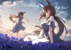  2girls admire_vega's_twin_sister_(umamusume) admire_vega_(umamusume) animal_ears blush breasts brown_hair closed_eyes closed_mouth clouds commentary_request dress ear_covers field flower flower_field hair_between_eyes happy_birthday horse_ears horse_girl horse_tail long_hair low_ponytail multiple_girls open_mouth outdoors ponytail short_sleeves siblings single_ear_cover sky smile starheart tail umamusume umamusume:_road_to_the_top violet_eyes white_dress 