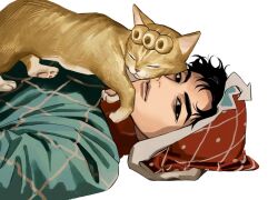  1boy animalization black_eyes black_hair blue_shirt cat closed_eyes giorno_giovanna guido_mista hat highres jojo_no_kimyou_na_bouken lying male_focus on_back orange_cat patterned_clothing shirt simple_background vento_aureo white_background zu_okr 