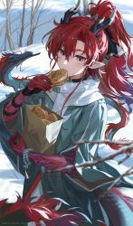  1girl absurdres arknights bag blue_coat blush character_request coat colored_skin commentary_request dragon dragon_girl dragon_horns dragon_tail eastern_dragon food food_in_mouth highres holding holding_bag holding_food horns korean_commentary long_hair looking_at_viewer multicolored_skin nez39 outdoors paper_bag pointy_ears ponytail red_eyes red_hair red_skin snow solo tail taiyaki wagashi 