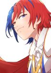 1boy alear_(fire_emblem) alear_(male)_(fire_emblem) blue_eyes blue_hair closed_mouth fcgc_(friedalwaysgood) fire_emblem fire_emblem_engage highres looking_at_viewer male_focus multicolored_hair one-hour_drawing_challenge red_eyes redhead smile two-tone_hair