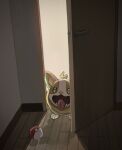  animal_focus anzu_(01010611) door door_handle fangs green_eyes highres indoors looking_up no_humans open_mouth poke_ball poke_ball_(basic) pokemon pokemon_(creature) shadow solo tongue tongue_out wooden_floor yamper 