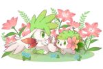  commentary_request dot_nose flower grass green_eyes hair_flower hair_ornament head_wings hedgehog hibiscus open_mouth pokemon pokemon_(creature) shaymin shaymin_(land) shaymin_(sky) simple_background sitting smile towa_(clonea) white_background wings 