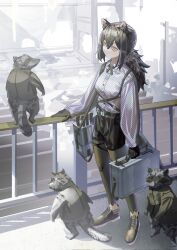  1girl animal animal_ears arknights bag bags_under_eyes black_gloves black_hair black_shoes black_shorts breasts briefcase brown_shoes closed_mouth commentary_request cross_tie freckles full_body gloves hair_between_eyes highres holding holding_bag kuthi0510 leggings long_hair long_sleeves looking_at_another outdoors polka_dot polka_dot_shirt raccoon raccoon_ears raccoon_girl raccoon_tail railing road robin_(arknights) shirt shoes shorts sidelocks sleeves_past_wrists small_breasts standing tail white_shirt yellow_eyes 