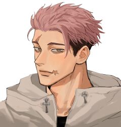  1boy black_hair black_shirt brown_eyes closed_mouth commentary english_commentary highres itadori_yuuji jacket jujutsu_kaisen jujutsu_kaisen_modulo looking_at_viewer male_focus multicolored_hair multiple_scars pink_hair portrait scar scar_on_face shirt short_sideburns sideburns solo syllysmot two-tone_hair white_jacket 