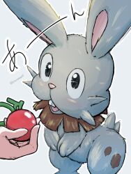  animal_ears animal_nose berry berry_(pokemon) buck_teeth bunnelby cheri_berry highres hisuizoroa25 holding open_mouth pokemon pokemon_(creature) pokemon_focus pokemon_xy rabbit rabbit_ears snout teeth white_background 