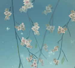  blue_sky branch cherry_blossoms commentary_request flower highres leaf miho_illust night no_humans original outdoors plant plant_focus scenery sky star_(sky) white_flower 