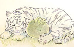  animal_ears animal_hands byakko_(heaven_burns_red) closed_eyes closed_mouth commentary_request facial_mark facing_viewer full_body grass heaven_burns_red narby_(heaven_burns_red) no_humans on_ground outdoors scar scar_across_eye scar_on_face shira_461 simple_background sketch sleeping slime_(creature) tail tiger tiger_ears tiger_tail whisker_markings white_background white_tiger 