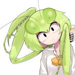  1girl arthropod_girl black_eyes evolvingmonkey green_hair highres mantis_akiyama mantis_girl original short_hair solo upper_body white_background 