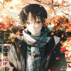  1boy artist_name autumn autumn_leaves black_hair black_jacket blue_eyes chinese_commentary closed_mouth commentary_request day falling_leaves glasses heterochromia highres jacket knit_sweater leaf long_sleeves looking_at_viewer male_focus outdoors rimless_eyewear scarf short_hair shusuzu smile solo watanuki_kimihiro watermark weibo_watermark xxxholic yellow_eyes 