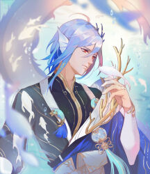  1boy ahoge air_bubble arm_guards black_shirt blue_hair blue_robe brooch bubble chinese_clothes chinese_commentary closed_mouth coral_hair_ornament expressionless fins fish flying_fish hair_between_eyes hair_ornament hand_up head_fins highres jewelry keru233 long_sleeves looking_at_animal male_focus medium_hair red_eyes robe see-through_clothes shirt shunde_raw_fish_(the_tale_of_food) solo tassel the_tale_of_food underwater upper_body wide_sleeves 