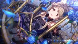  1girl birdcage black_choker black_dress blue_feathers blue_flower blue_rose brown_eyes brown_hair cage card_commentary choker commentary_request dress dutch_angle feathers flower frilled_choker frills game_cg gloves hair_bun heart heart-shaped_lock heart_choker idolmaster idolmaster_million_live! idolmaster_million_live!_theater_days lace lace_gloves lace_thighhighs official_alternate_costume official_art pearl_hairband rose sidelocks single_hair_bun sitting solo tenkubashi_tomoka thigh-highs third-party_source 