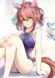  2girls absurdres ahoge animal_ears blue_one-piece_swimsuit breasts brown_eyes brown_hair competition_swimsuit dantsu_flame_(umamusume) ear_covers feet_out_of_frame hair_between_eyes highres hishi_miracle_(umamusume) horse_ears horse_girl horse_tail large_breasts looking_at_viewer multicolored_swimsuit multiple_girls one-piece_swimsuit sitting solo_focus sugi_(user_nash8444) swimsuit tail umamusume 