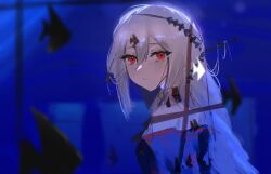  1girl angelfish arknights ascot bare_shoulders black_ascot blue_background blurry blurry_foreground commentary detached_collar detached_sleeves dress english_commentary expressionless film_grain fish hair_between_eyes hair_ornament hair_ribbon highres komeryuu165 long_hair long_sleeves looking_at_viewer off-shoulder_dress off_shoulder official_alternate_costume red_dress red_eyes ribbon shadow skadi_(arknights) skadi_the_corrupting_heart_(arknights) solo tropical_fish very_long_hair white_hair window 