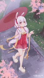  1girl animal_ears animal_slippers artist_name azur_lane blush bow cherry_blossoms chinese_commentary closed_mouth collarbone commentary_request dated dress fake_animal_ears frilled_dress frills from_above grass hair_bow hairband highres laffey_(azur_lane) laffey_(white_rabbit_welcomes_the_spring)_(azur_lane) low_twintails official_alternate_costume oil-paper_umbrella park path pink_hair rabbit_ears rain red_bow red_dress red_eyes red_hairband slippers smile solo twintails umbrella walking xiao_shi_lullaby 