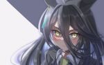  1girl absurdres ahoge animal_ears black_hair blush buckwheat638478 closed_mouth commentary_request hair_between_eyes hair_ornament highres horse_ears horse_girl looking_at_viewer manhattan_cafe_(umamusume) necktie portrait simple_background solo umamusume yellow_eyes 