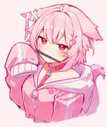  1girl absurdres animal_ears bandaged_ear belt belt_collar blush choker closed_mouth collar commentary deaver highres holding holding_stylus hood hoodie long_sleeves looking_at_viewer medium_hair mouth_hold original paw_ornament paw_print pink_background pink_belt pink_choker pink_collar pink_eyes pink_hair pink_hoodie pink_tail simple_background sleeves_past_fingers sleeves_past_wrists smile solo stylus tail wolf_ears wolf_girl wolf_tail zipper_pull_tab 