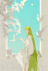  1other androgynous baggy_pants barefoot beak bird bird_wings blue_eyes blue_sky closed_mouth commentary day ejmmnn empty_eyes enkidu_(fate) fate/grand_order fate_(series) feathered_wings flying from_side full_body green_hair half-closed_eyes hand_up highres long_hair long_sleeves looking_at_animal other_focus outdoors pants pigeon robe shadow sidelocks sitting sky solo sun untranslatable_commentary very_long_hair white_pants white_robe wide_sleeves wings 
