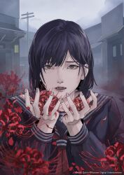  1girl absurdres black_eyes black_hair black_sailor_collar black_shirt building commentary_request copyright_notice day fingernails flower fog hands_up highres holding holding_flower long_sleeves looking_at_viewer lower_teeth_only neckerchief official_art outdoors overcast parted_lips red_flower red_neckerchief sailor_collar school_uniform second-party_source serafuku shimizu_hinako shirt short_hair silent_hill_(series) silent_hill_f sky solo spider_lily teeth town upper_body utility_pole 