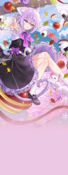  ahoge animal_ear_fluff animal_ears cat_ears cat_girl cat_tail food highres hololive hololive_gamers nekomata_okayu onigiri onigirya_(nekomata_okayu) purple_hair tail violet_eyes virtual_youtuber 