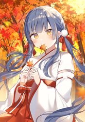  1girl absurdres autumn_leaves bow closed_mouth commentary_request detached_sleeves grey_hair hair_bow hakama hakama_skirt highres holding holding_leaf japanese_clothes kimono leaf long_hair long_sleeves low_twintails maple_leaf miko mouth_hold original outdoors red_bow red_hakama ribbon-trimmed_sleeves ribbon_trim shiino_sera skirt solo tree twintails very_long_hair white_kimono white_sleeves wide_sleeves yellow_eyes 