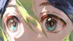  1boy black_hair blue_eyes close-up eye_focus genshin_impact green_hair hair_between_eyes highres male_focus miliya multicolored_hair solo streaked_hair tighnari_(genshin_impact) 