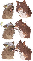  aaasakawa animal animal_ear_fluff animal_focus animal_with_hair beanie biting biting_another's_tongue brown_fur colored_inner_animal_ears commentary_request dog growling hair_between_eyes hat highres licking licking_another's_face licking_another's_lips multicolored_fur multicolored_hair nakayama_festa_(umamusume) open_mouth pink_eyes red_eyes sirius_symboli_(umamusume) streaked_hair teeth umamusume white_hair white_streaks yawning 