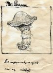  children's_book comic monochrome mushroom original silent_comic toi_(number8) traditional_media 