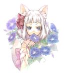  animal_ears bangs blue_eyes blunt_bangs child dew_drop face flower hair_ribbon hands japanese_clothes kimono morning_glory open_mouth original ribbon short_hair solo tail water_drop white_hair wolf_ears wolf_tail 
