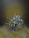  clouds cloudy_sky dark flower fog light mitzoka2001 no_humans original painting_(medium) pastel_(medium) plant sky traditional_media white_flower 