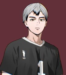  1boy black_hair brown_eyes closed_mouth colored_tips commentary_request funiraku haikyuu!! highres kita_shinsuke male_focus multicolored_hair red_background short_hair simple_background slit_pupils solo sportswear two-tone_hair upper_body volleyball_uniform white_hair 