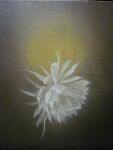  dark flower light mitzoka2001 moon no_humans original painting_(medium) plant traditional_media white_flower yellow_background 