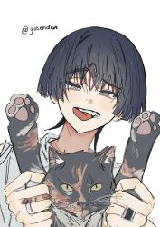  1boy alternate_costume animal bishounen black_hair blunt_ends casual cat contemporary genshin_impact highres holding holding_animal holding_cat looking_at_viewer male_focus middle_ring open_mouth portrait raised_eyebrow scaramouche_(genshin_impact) shirt solo teeth tongue tongue_out tsurime twitter_username upper_teeth_only white_background white_shirt wispy_bangs ysnden 