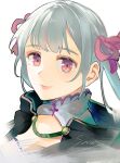  black_capelet black_clover capelet closed_mouth grey_hair highres light_smile looking_at_viewer low_twintails noelle_silva pink_eyes portrait sanii signature simple_background twintails white_background 